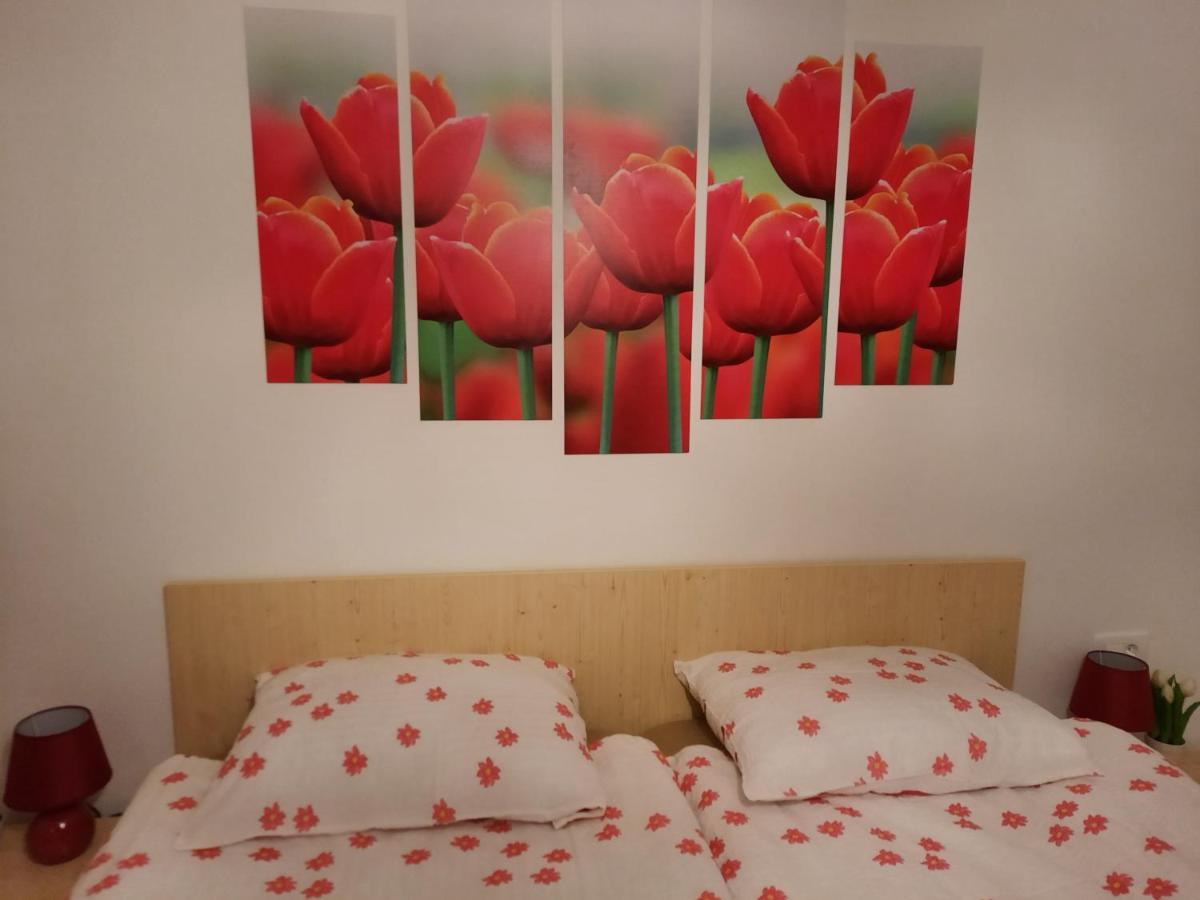 Apartma Rozle Mojstrana Eksteriør bilde