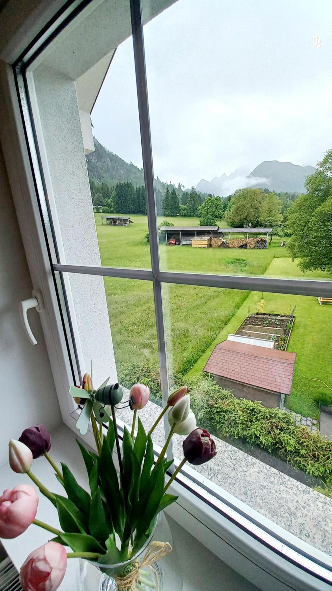 Apartma Rozle Mojstrana Eksteriør bilde